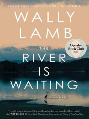 The River Is Waiting - ebook